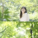 산책비디오 MK스포츠