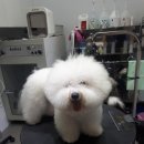 레오메디칼 이미지