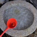 건들내민박 이미지