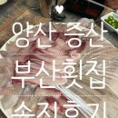 양산 증산 횟집 부산횟집 내돈내산 솔직후기