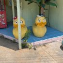 월척오리 | 내돈내산 / 예산 오리고기 맛집 ⭐️월척오리⭐️ 후기