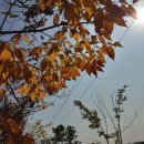(주)세찬 이미지