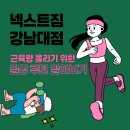 강남로(남) | 기흥 헬스장 넥스트짐 강남대점 - 근육을 올리기 위한 일상 루틴 알아보기