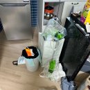 클린네이션