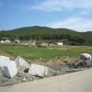 양사면-3 이미지