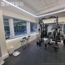 헬로헤일리 이미지