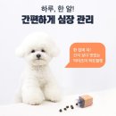닥터조이 | 강아지 영양제 추천, 닥터조이 케어 영양제 내돈내산 효과 후기 (기호성/성분)