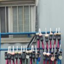 캐슬 아카데미 태권도 이미지