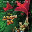 이든비주얼스튜디오