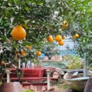 이목농원 이미지