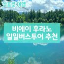 (주)소소팜 | 여행 비에이 후라노 일일 버스투어 추천 (청의호수,사계채의언덕,흰수염폭포,탁신관,팜토미타 라벤더)