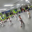 한국체대명품태권도장 이미지