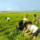 석진농장 이미지