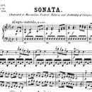 손 혈자리 수지요법 이미지