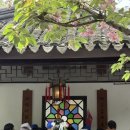 달달탕후루 | 상하이 EP 5. 근교 쑤저우 기차 여행 후기 / 사자림, 핑장루(평강로)에서 탕후루 꼭 드세요