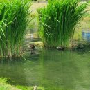 왕숙천 자전거도로19 이미지