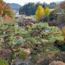 숲속&펜션 이미지