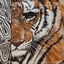 숲을향한시선 이미지