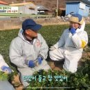 청년수성농장