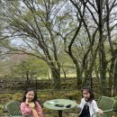 소리소길 | 제주도 이끼숲소길 후기