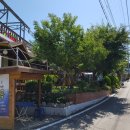 바다로 가는 길목 이미지