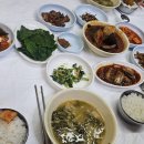 정읍 샘골시장 백반집서 점심 이미지