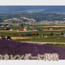 국철농장 이미지