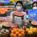 착한할인마트 이미지