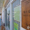 엘이네 이미지