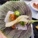 장미회집 | 율하 횟집으로 추천하는 총각도매횟집 모듬회 후기