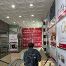 06-C | W 06. 도헤주얼리 까르띠에 C드링 가드링 구매후기