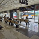 북평터미널(남창정류소) | 2026-03-01해남 땅끝 마을 강진 대월제 늦봄 동촌리 이진성지 땅끝항 해설사윤여사