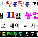 우석대 엘리트 태권도 이미지