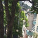 세검정유치원 이미지