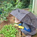 설봉경로당 이미지