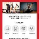 바우 필라앤피티 이미지