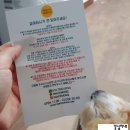 스낵몽 | 푸숑 훈이 간식먹이기 ♥ 스낵몽 강아지소간, 강아지닭발 강아지수제간식추천 / 불러도 쳐다도 안보고...