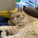 원천중학교 이미지