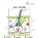 여우머리미용실 이미지