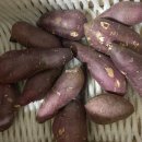 참좋은농산 - 부천시 오정구 성곡로 110 | 참좋은농산