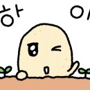 짐박스피트니스상암DMC점 이미지