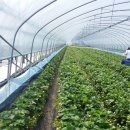 수문농장 이미지