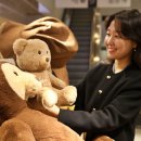 테디베어 이미지