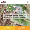 호호방역 이미지