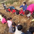 삼천남초병설유치원 이미지