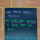 돌솥밥과생선들