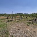 양지-2790 이미지