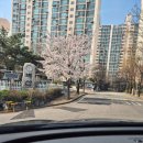 맨몰 네이버블로그