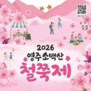 구계별서민박 | [경상북도 영주시] 영주 소백산 철쭉제