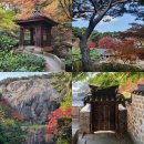 봉황11길 18-1 담장 | 석파정 서울 부암동 가을 나들이 명소 추천 도심속 힐링 여행장소 산책 후기